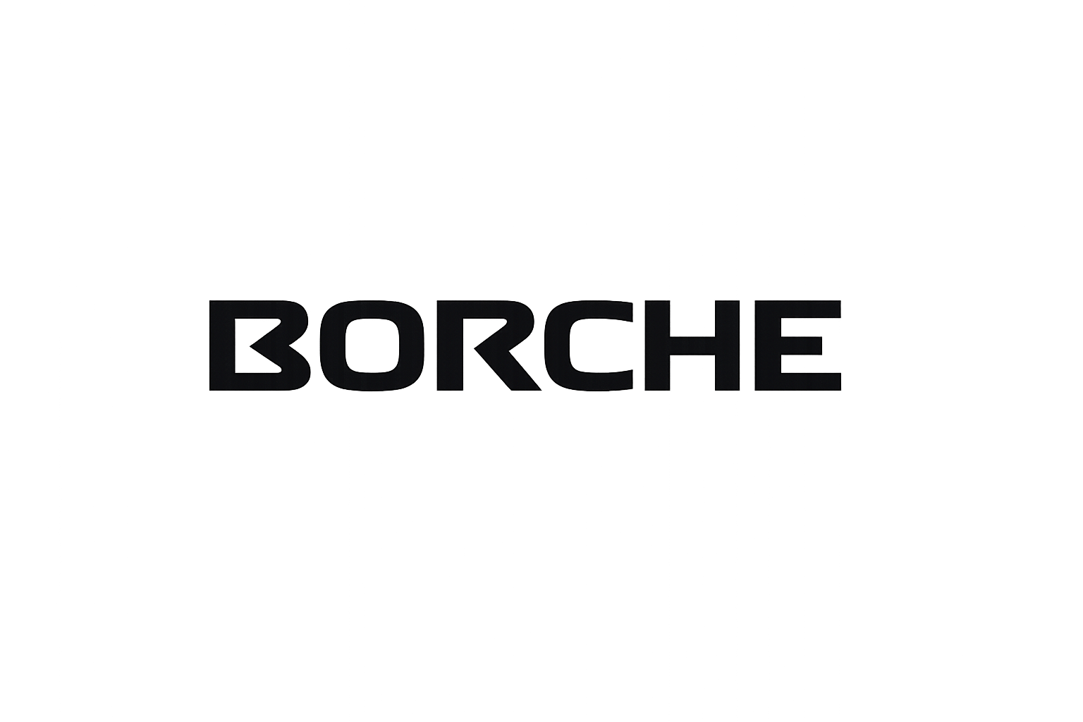 BORCHE